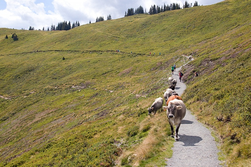 Leos Spielwanderung